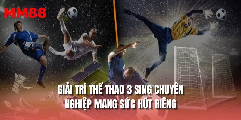 Giải trí Thể thao 3 SING chuyên nghiệp mang sức hút riêng